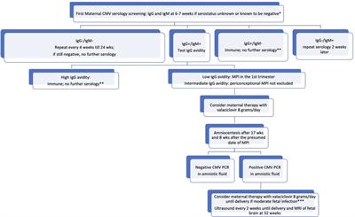 Congenital cytomegalovirus infection: the state of the art and future perspectives